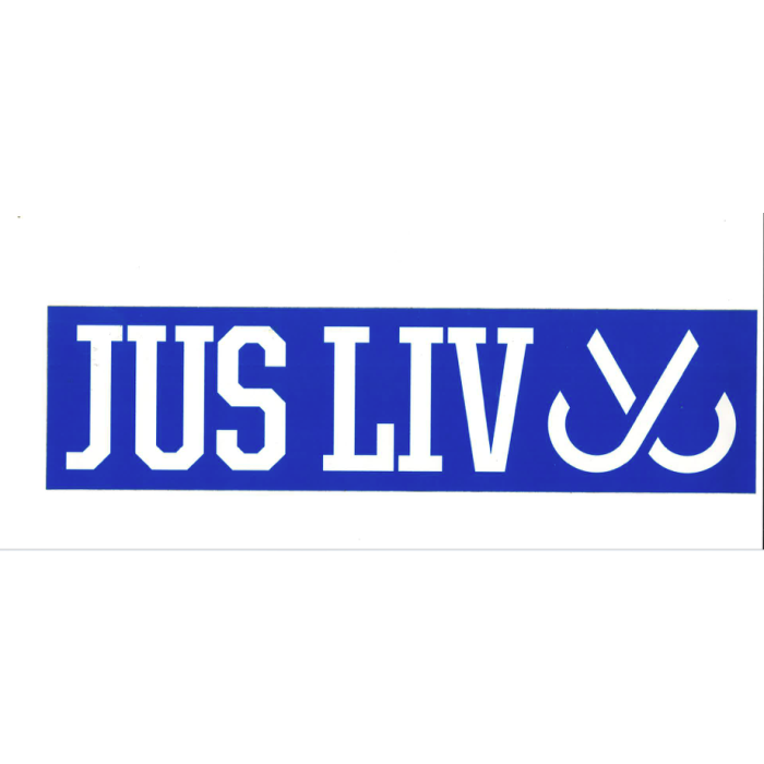 Pegatina de JSLV signature Logo Blue 12" x 3"