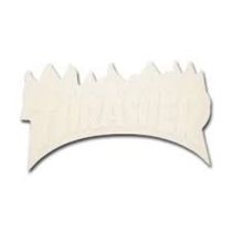 Thrasher Flame Logo